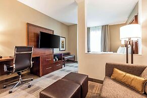 Comfort Suites University
