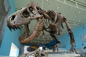 Staybridge Suites Baltimore - Inner Harbor by IHG