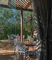 Alesia Hotel Boutique & Spa