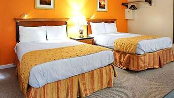 M Star North Canton - Hall of Fame