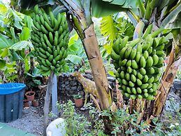 Hotel Rural La Raya 1866