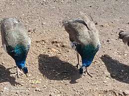 Hotel Rural La Raya 1866