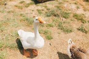 Country View PA Bed & Breakfast