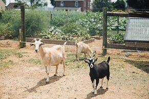Country View PA Bed & Breakfast