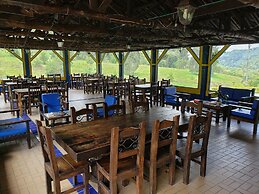 El Rancho de Salento by Prima Collection