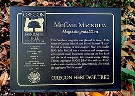 McCall House Boutique Inn