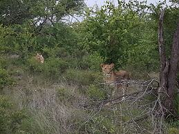 Baluleni Safari Lodge