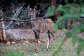 Baluleni Safari Lodge