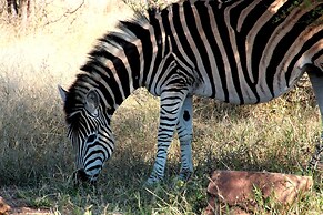 Baluleni Safari Lodge