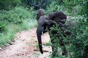 Baluleni Safari Lodge