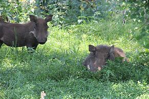 Baluleni Safari Lodge