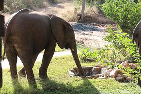 Baluleni Safari Lodge