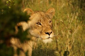 Baluleni Safari Lodge