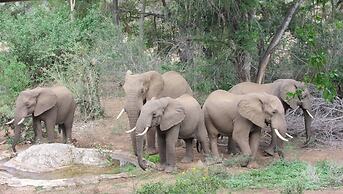 Baluleni Safari Lodge