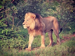 Baluleni Safari Lodge