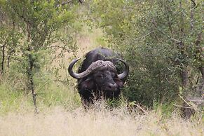 Baluleni Safari Lodge