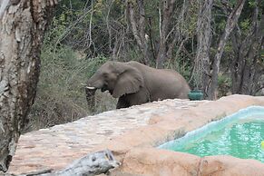 Baluleni Safari Lodge