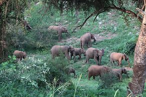 Baluleni Safari Lodge