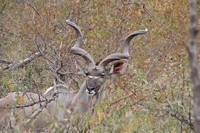 Baluleni Safari Lodge
