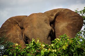 Baluleni Safari Lodge