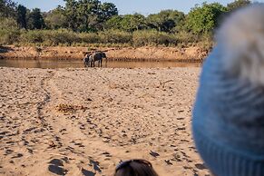 Baluleni Safari Lodge