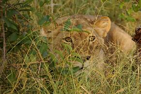 Baluleni Safari Lodge