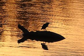 Baluleni Safari Lodge