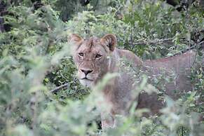Baluleni Safari Lodge