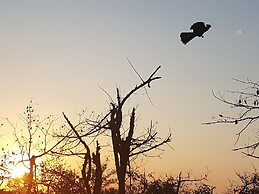 Baluleni Safari Lodge