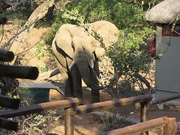 Baluleni Safari Lodge