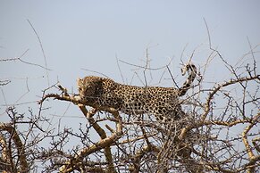 Baluleni Safari Lodge