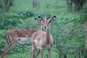 Baluleni Safari Lodge