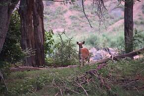 Baluleni Safari Lodge