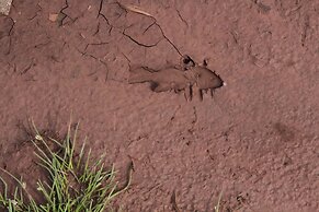 Baluleni Safari Lodge