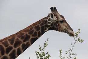 Baluleni Safari Lodge