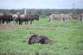 Baluleni Safari Lodge