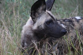 Baluleni Safari Lodge