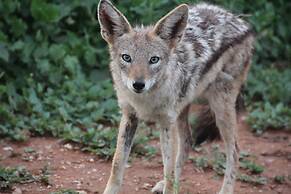 Baluleni Safari Lodge