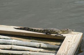 Lamanai Landings Hotel and Marina