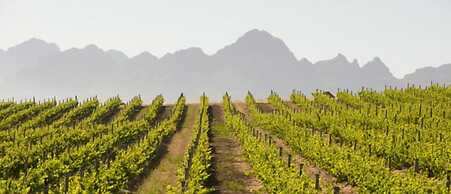 Jordan Wines Luxury Suites