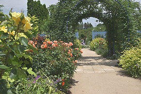 Shima Onsen YOSHIMOTO