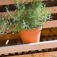 Landgasthof Ochsen Seelbach