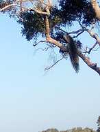 Goalma Holiday Resort