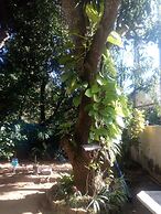 Goalma Holiday Resort