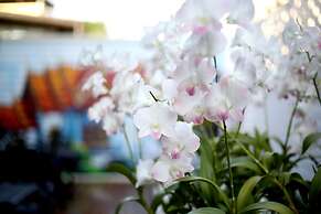 The Orchid House 153