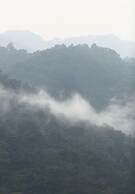 Silverback Lodge