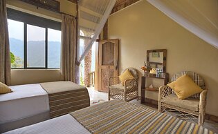Silverback Lodge