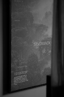 Silverback Lodge