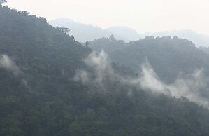 Silverback Lodge