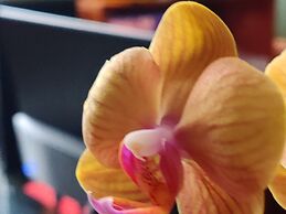 Azcami Boutique Hotel